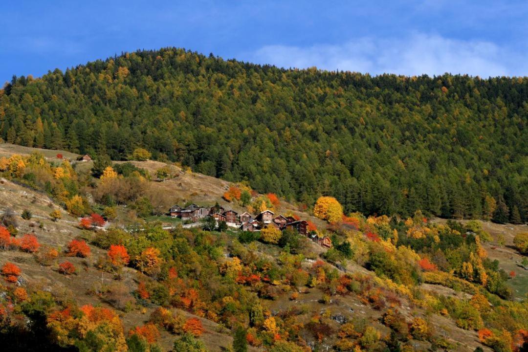Cosy Studio For 5 Near Ski Lift, Les Gentianes Ле-Коллон Экстерьер фото